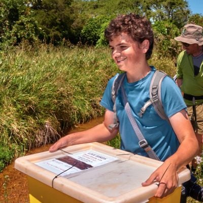 Tākaka teen captures rare pūweto bird on camera : Seven Sharp