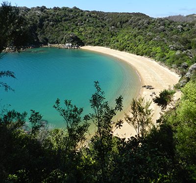 Sand, beach, trees, sea