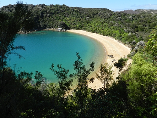 Sand, beach, trees, sea