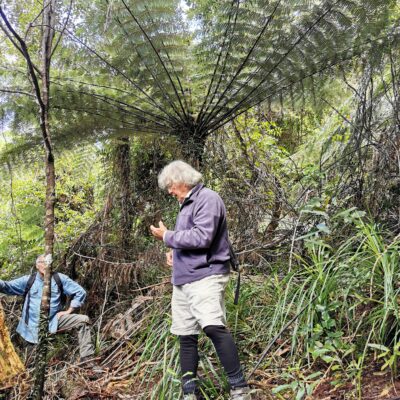 two men looking at plants in a forest