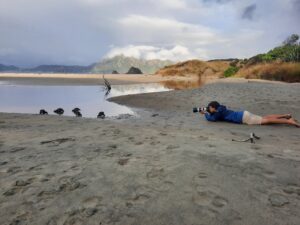 man with camera lying on beach taking photos of birds