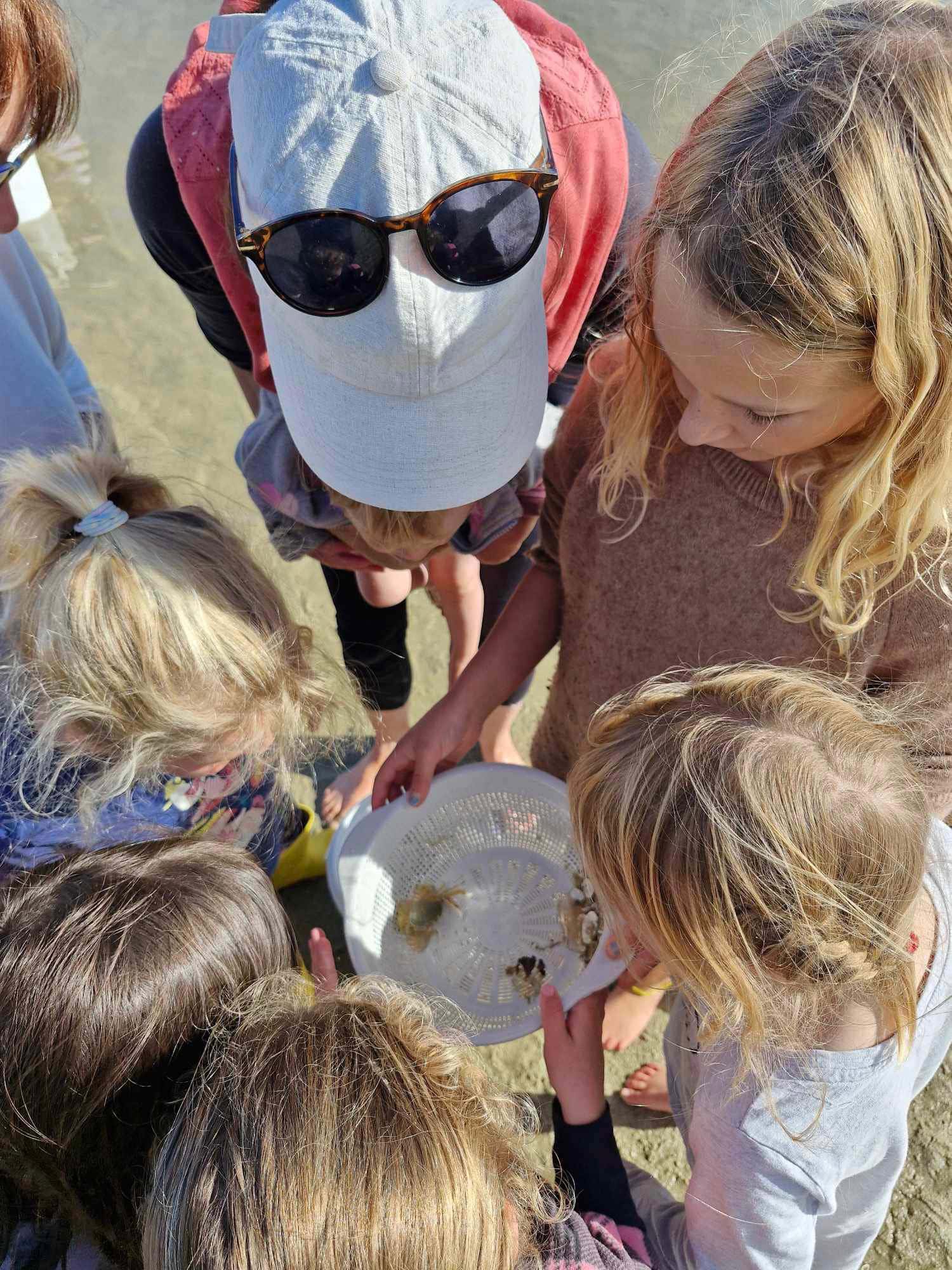 people from above around a bowl