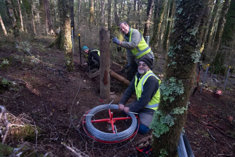 men making a fence in the forest